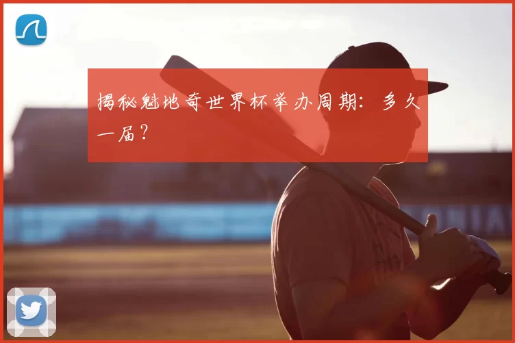 揭秘魁地奇世界杯举办周期：多久一届？