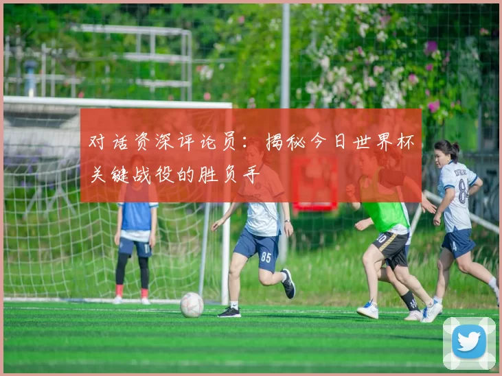 对话资深评论员:揭秘今日世界杯关键战役的胜负手