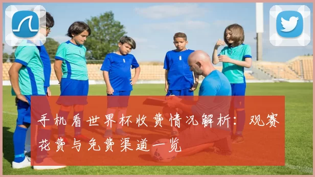 手机看世界杯收费情况解析:观赛花费与免费渠道一览