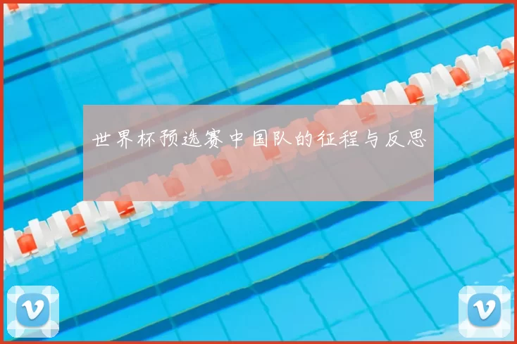 世界杯预选赛中国队的征程与反思