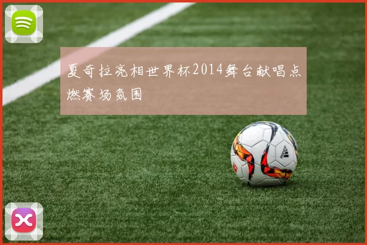 夏奇拉亮相世界杯2014舞台献唱点燃赛场氛围