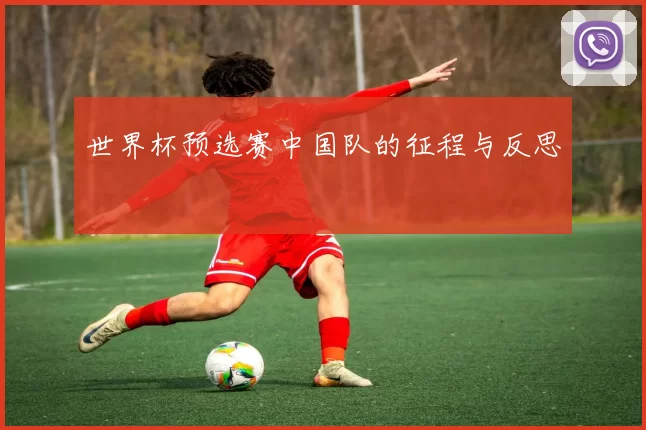 世界杯预选赛中国队的征程与反思