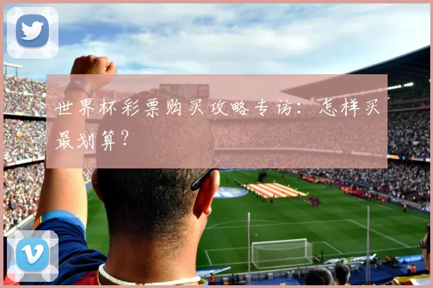 世界杯彩票购买攻略专访:怎样买最划算?