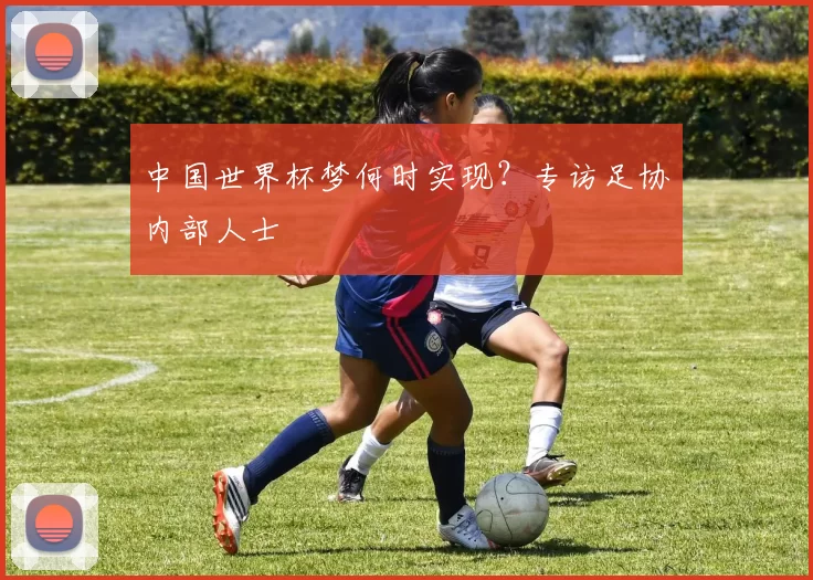 中国世界杯梦何时实现？专访足协内部人士