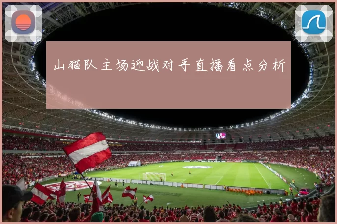 山猫队主场迎战对手直播看点分析