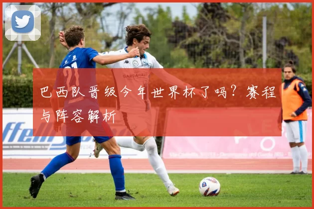巴西队晋级今年世界杯了吗?赛程与阵容解析