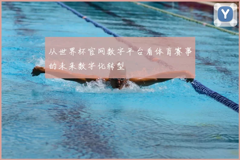从世界杯官网数字平台看体育赛事的未来数字化转型