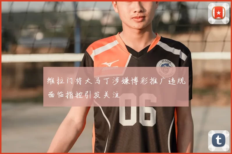 维拉门将大马丁涉嫌博彩推广违规面临指控引发关注