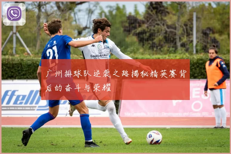 广州排球队逆袭之路揭秘精英赛背后的奋斗与荣耀