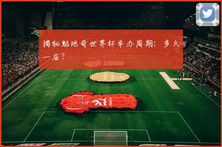 揭秘魁地奇世界杯举办周期：多久一届？
