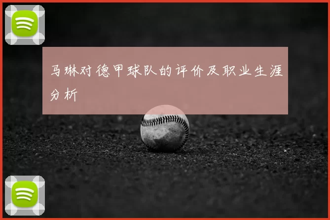 马琳对德甲球队的评价及职业生涯分析