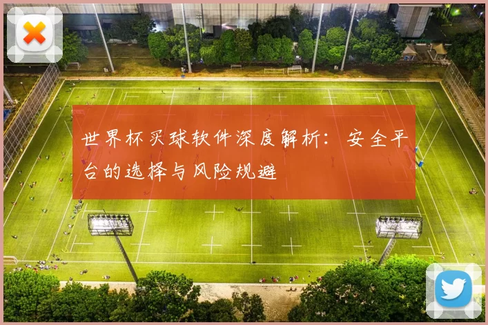 世界杯买球软件深度解析:安全平台的选择与风险规避