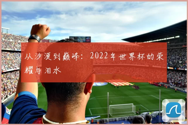 从沙漠到巅峰：2022年世界杯的荣耀与泪水