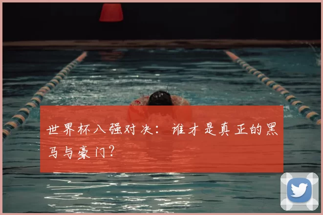 世界杯八强对决:谁才是真正的黑马与豪门?