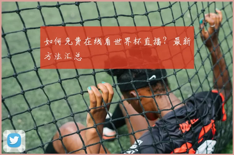 如何免费在线看世界杯直播?最新方法汇总