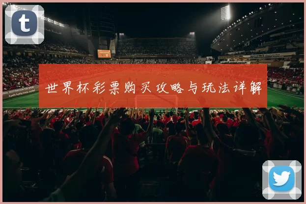 世界杯彩票购买攻略与玩法详解