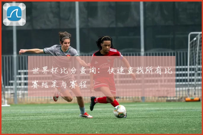 世界杯比分查询：快速查找所有比赛结果与赛程