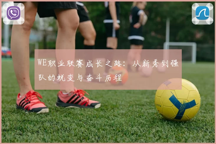 WE职业联赛成长之路:从新秀到强队的蜕变与奋斗历程