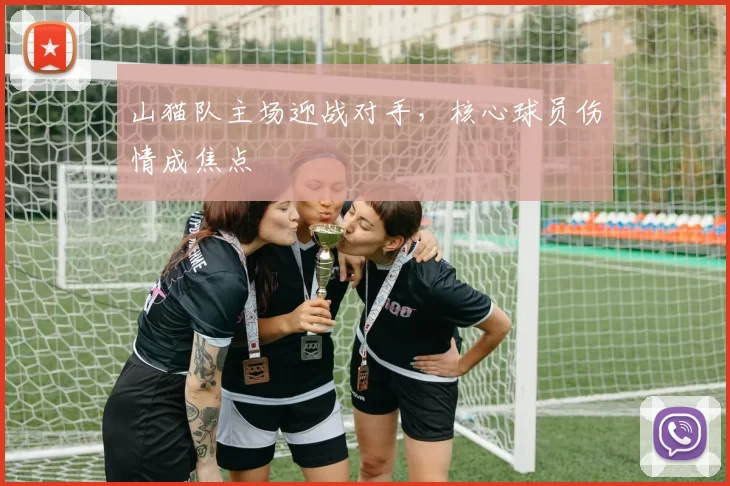 山猫队主场迎战对手，核心球员伤情成焦点