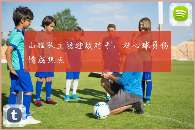 山猫队主场迎战对手，核心球员伤情成焦点